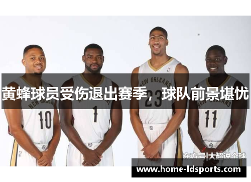 黄蜂球员受伤退出赛季，球队前景堪忧